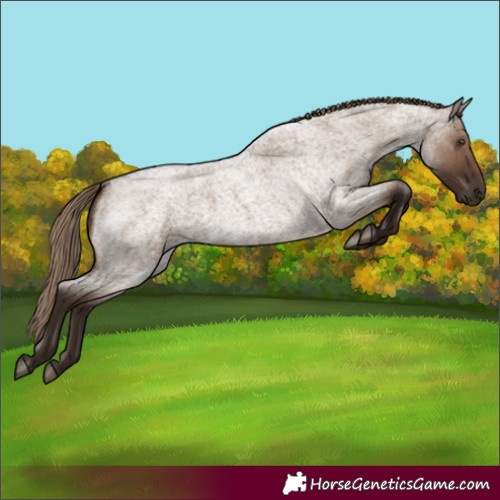 Horse Color:Liver Red Dun Roan