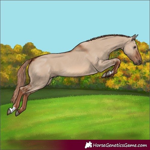 Horse Color:Red Dun