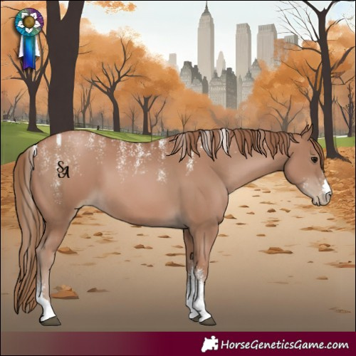 Horse Color:Powder White Black Pearl 