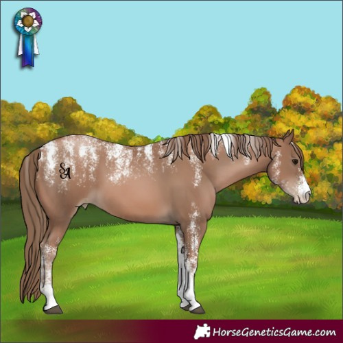 Horse Color:Powder White Black Pearl 