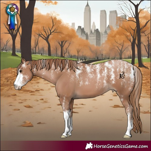 Horse Color:Powder White Black Pearl 