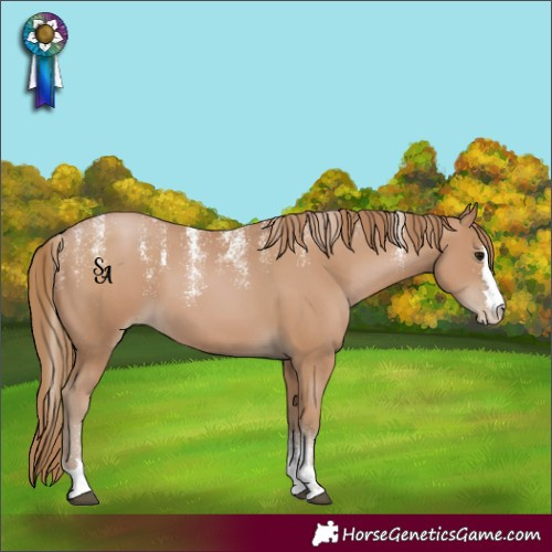 Horse Color:Powder White Black Pearl 