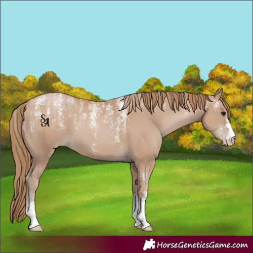 Horse Color:Powder White Black Pearl