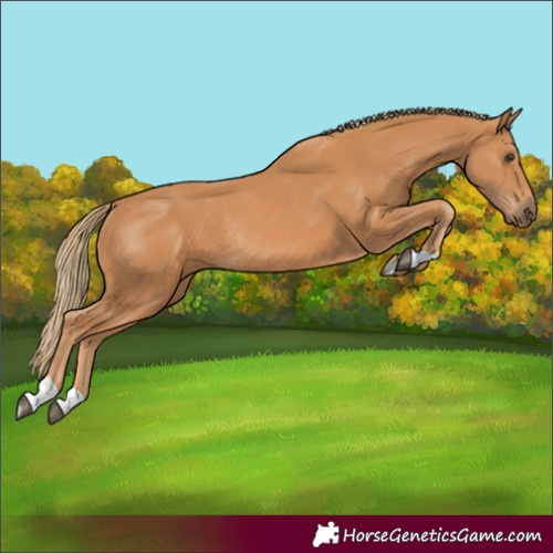 Horse Color:Chestnut Rabicano 