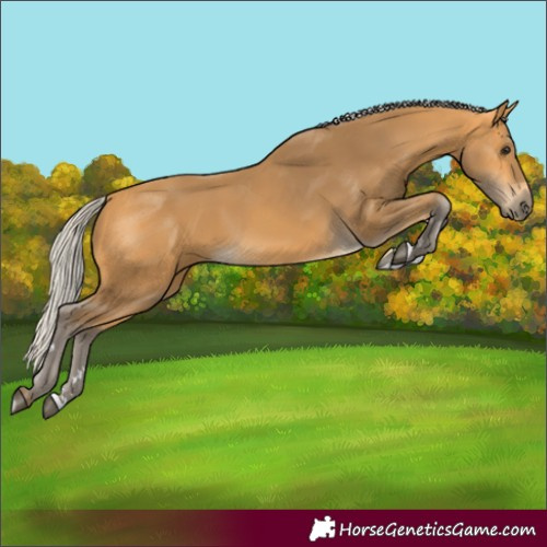 Horse Color:Silver Buckskin