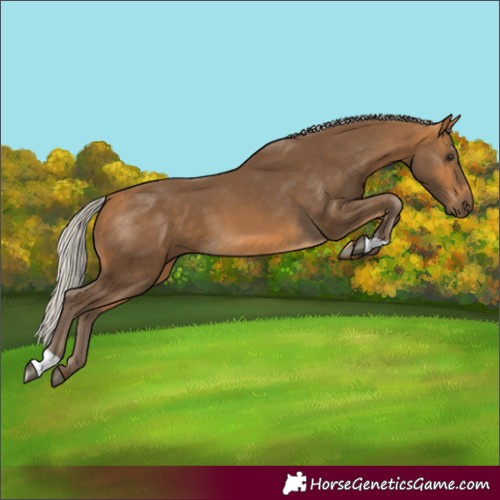Horse Color:Silver Buckskin 