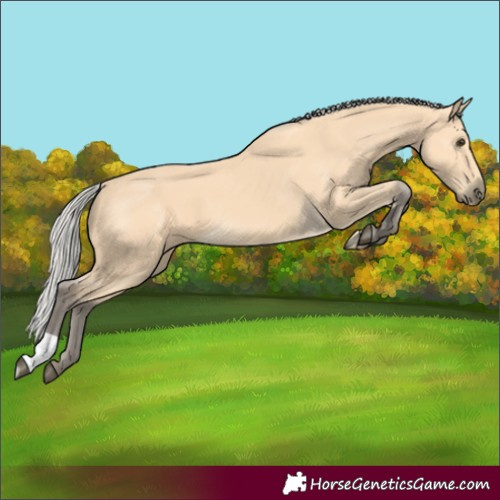 Horse Color:Silver Buckskin