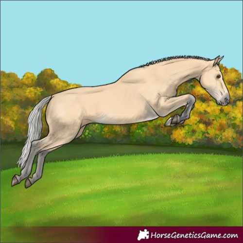 Horse Color:Silver Buckskin