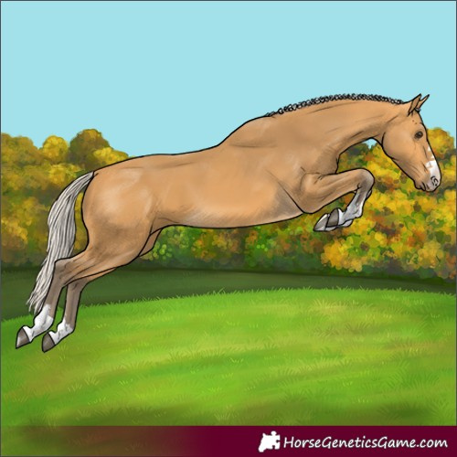 Horse Color:Silver Buckskin