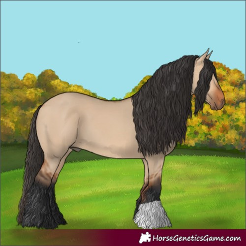 Horse Color:Bay Dun