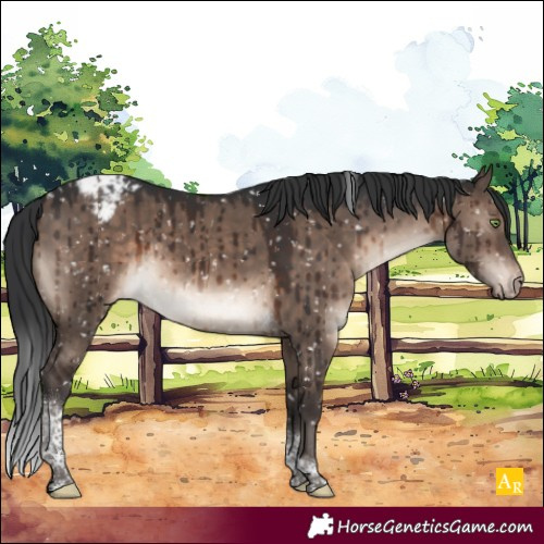 Horse Color:Brown Dun Mushroom Tobiano Snowcap Brindle