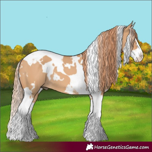 Horse Color:White Spotted Red Dun Splash Tobiano 