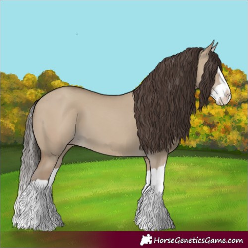 Horse Color:Classic Champagne Dun Splash