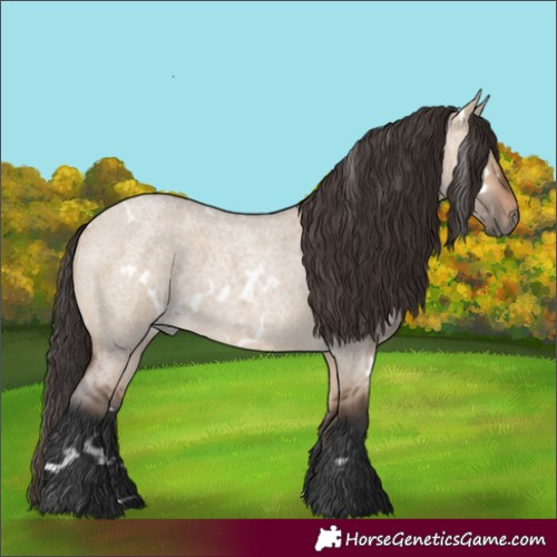 Horse Color:White Spotted Bay Roan Dun
