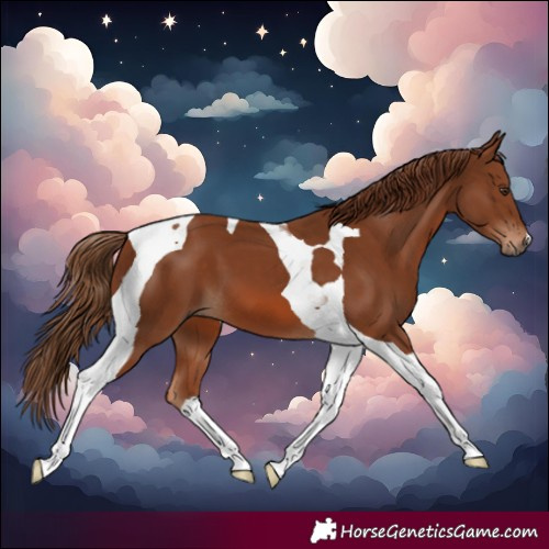 Horse Color:Chestnut Tobiano 