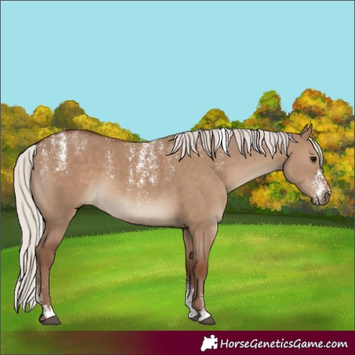 Horse Color:Powder White Silver Grullo 