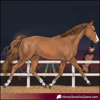 Horse Color:Chestnut 