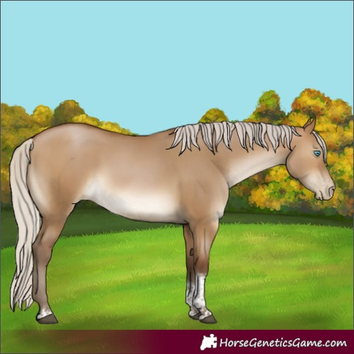 Horse Color:Gray Silver Bay Pearl Dun Sabino Tobiano