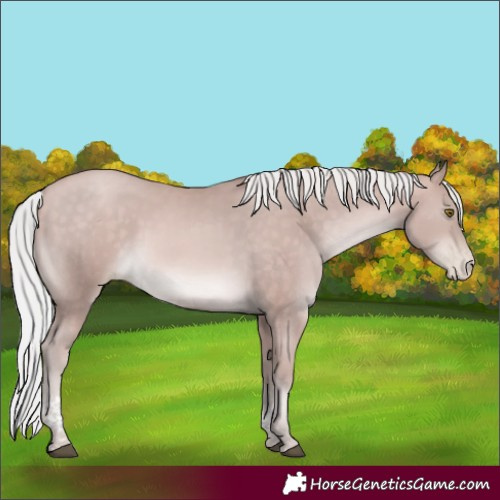 Horse Color:Platinum Silver Brown Pearl Tobiano Rabicano 