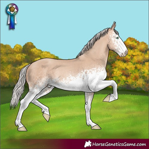 Horse Color:White Spotted Silver Amber Champagne Dun Rabicano