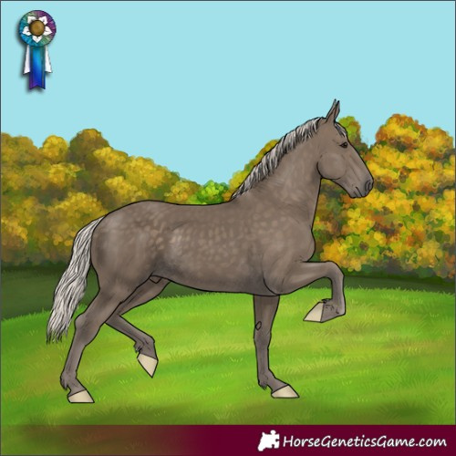 Horse Color:Silver Smoky Black 