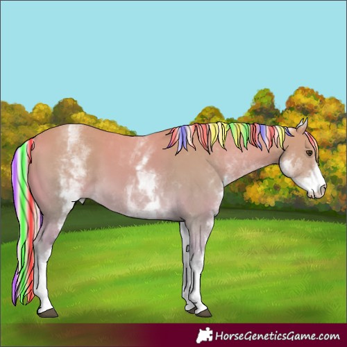 Horse Color:Painted Watercolor White Spotted Palomino
