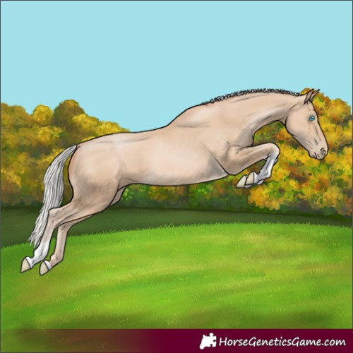Horse Color:Silver Smoky Black Pearl Tobiano