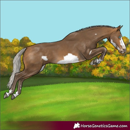 Horse Color:Silver Buckskin Frame 