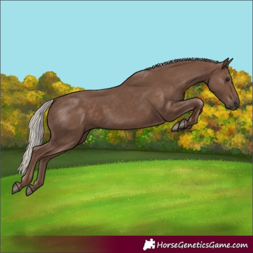 Horse Color:Silver Black