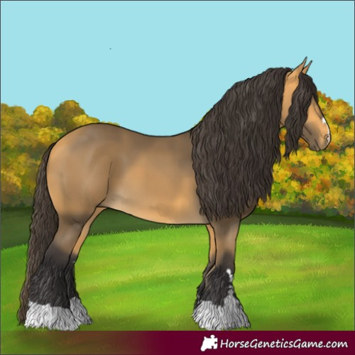 Horse Color:Buckskin