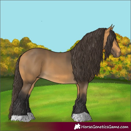 Horse Color:Buckskin 