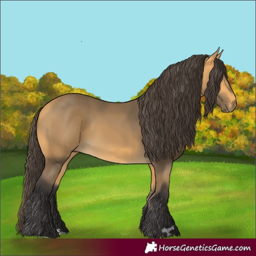 Horse Color:Buckskin
