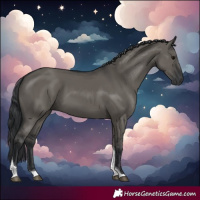 Horse Color:Grullo Tobiano