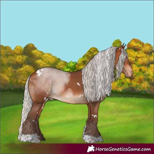 Horse Color:White Spotted Silver Bay Tobiano Skewed LP Spotted Rabicano