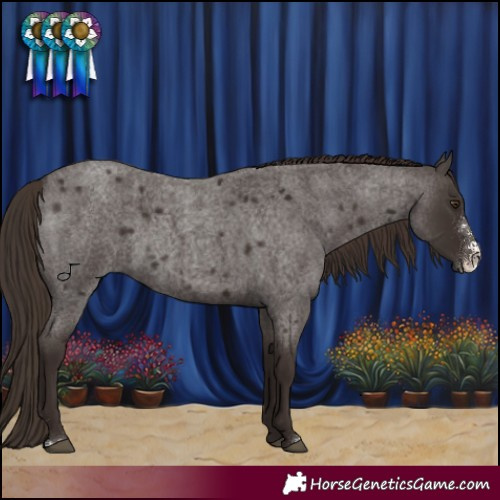 Horse Color:Liver Red Roan Sabino 