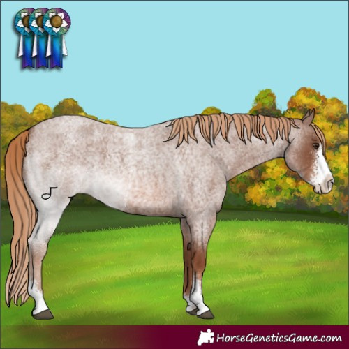 Horse Color:Red Roan Sabino