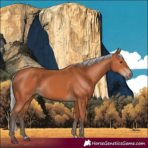 Horse Color:Silver Bay
