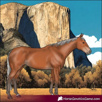 Horse Color:Silver Bay 