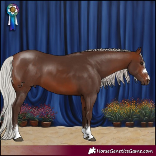 Horse Color:Silver Bay 