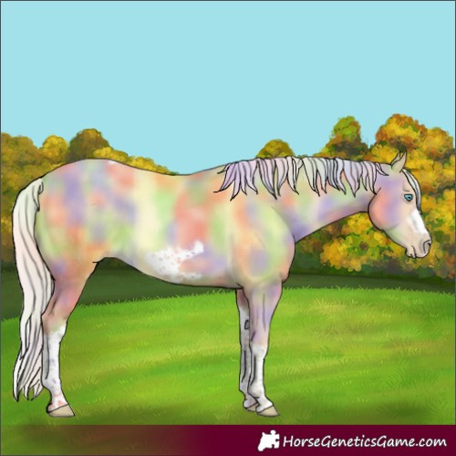 Horse Color:Nacre Silver Smoky Black Pearl Tobiano Frame