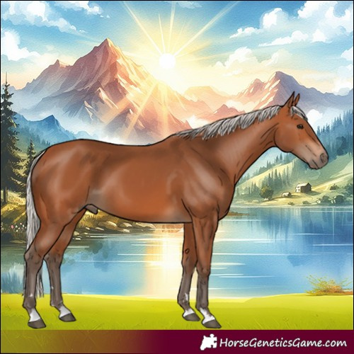 Horse Color:Silver Bay