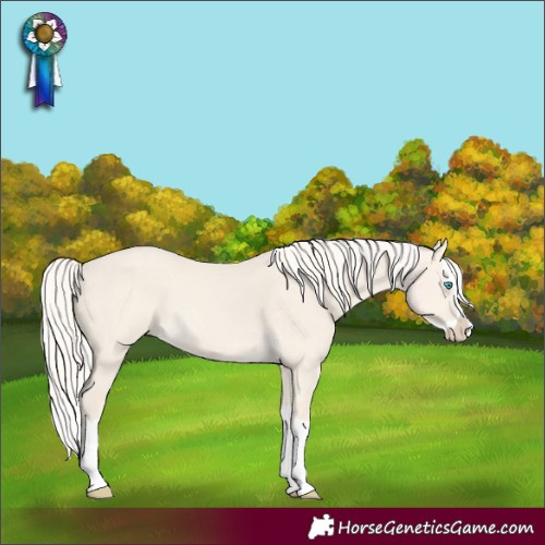Horse Color:Cremello Dun Splash  and Cremello Dun Splash 