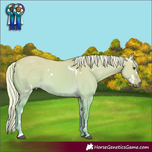 Horse Color:Watercolor White Spotted Palomino Dun 