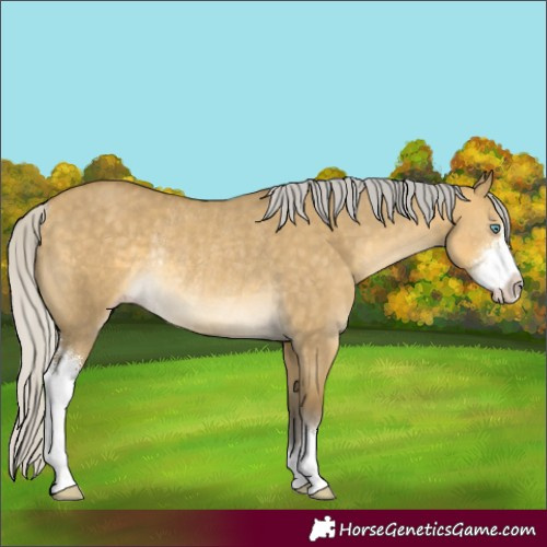 Horse Color:Silver Sable Cream Champagne Dun Sabino Rabicano 