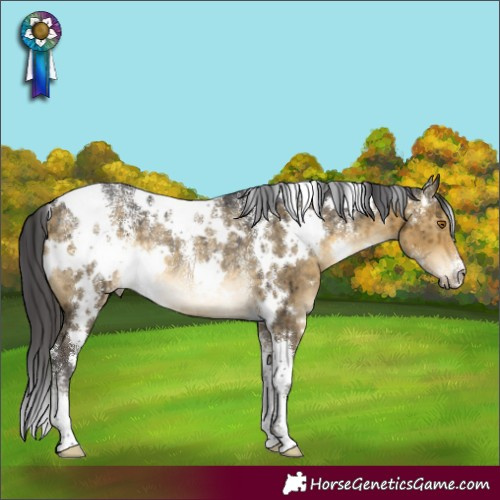 Horse Color:Powder White White Spotted Buckskin Dun Rabicano Brindle