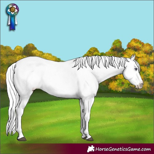 Horse Color:White Spotted Liver Chestnut Chinchilla