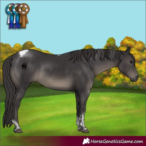 Horse Color:Smoky Black Tobiano Rabicano