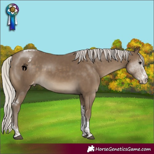 Horse Color:Silver Smoky Black Sabino Tobiano Appaloosa Rabicano