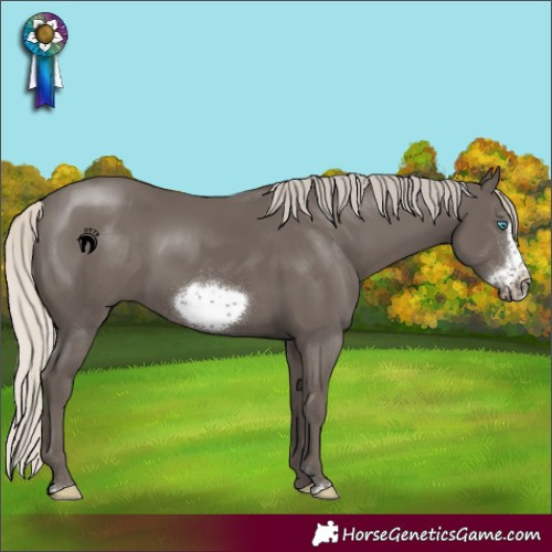 Horse Color:Silver Smoky Black Sabino Frame Rabicano