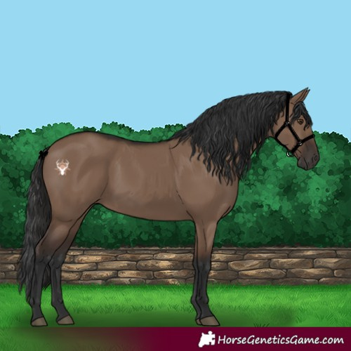 Horse Color:Liver Red Dun Rabicano 